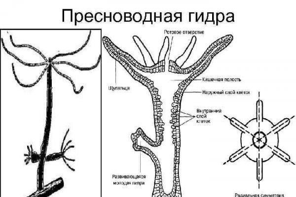 Кракен сайт даркнет зеркало