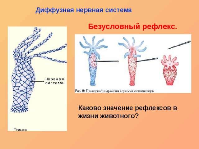 Kraken официальный сайт вход