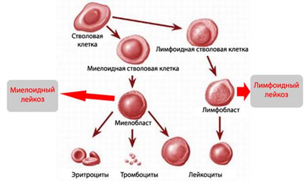 Услуги даркнета